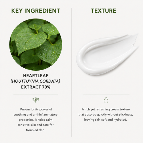 An informational product graphic on a light gray background with two columns. The left column is labeled 'KEY INGREDIENT' and shows a circular photo of green heartleaf leaves, with text reading 'HEARTLEAF (HOUTTUYNIA CORDATA) EXTRACT 70%'.