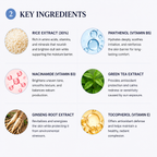 An infographic titled 'KEY INGREDIENTS' on a light gray background, showing six ingredient panels with icons and text: rice extract, panthenol/vitamin B5, niacinamide/vitamin B3, green tea extract, ginseng root extract, and tocopherol/vitamin E.
