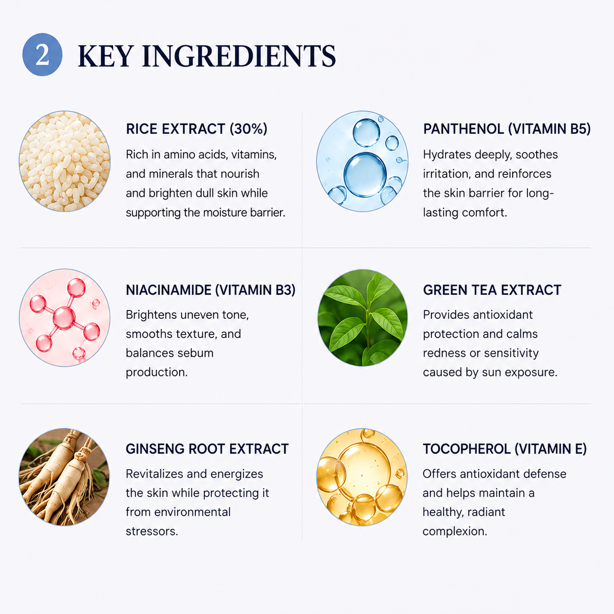 An infographic titled 'KEY INGREDIENTS' on a light gray background, showing six ingredient panels with icons and text: rice extract, panthenol/vitamin B5, niacinamide/vitamin B3, green tea extract, ginseng root extract, and tocopherol/vitamin E.