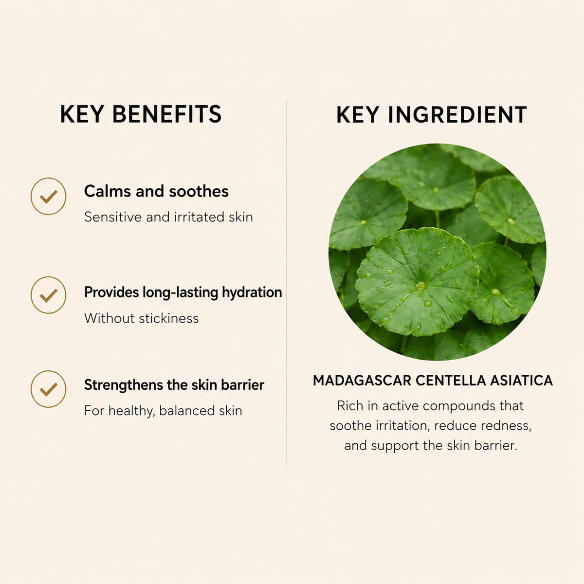 An informational graphic on a light beige background with text reading 'KEY BENEFITS' and 'KEY INGREDIENT'. The left side lists benefits for sensitive and irritated skin: 'Calms and soothes', 'Provides long-lasting hydration', and 'Strengthens the skin barrier'.