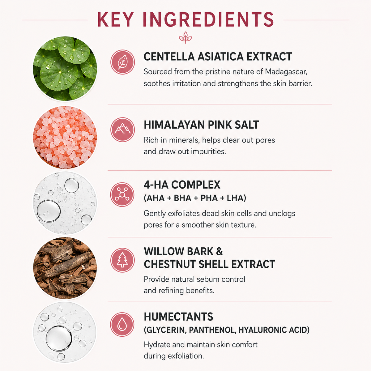 An infographic detailing the key ingredients of a skincare product on a light pink background. The ingredients listed are Centella Asiatica Extract, Himalayan Pink Salt, 4-HA Complex, Willow Bark & Chestnut Shell Extract, and Humectants, each with a circular photo of the ingredient, a pink icon, and descriptive text.