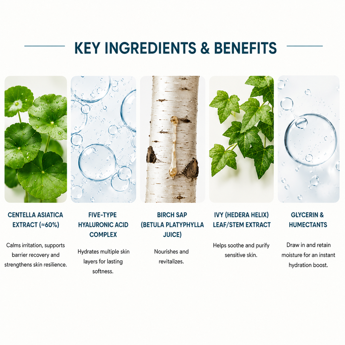 An infographic titled 'KEY INGREDIENTS & BENEFITS' showing five vertical panels with ingredient photos and text: Centella Asiatica Extract, Five-Type Hyaluronic Acid Complex, Birch Sap, Ivy (Hedera Helix) Leaf/Stem Extract, and Glycerin & Humectants.